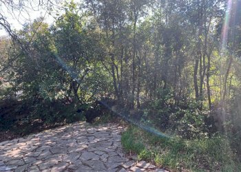 PHOTO-2021-04-18-07-48-21 (7).jpg - Rustico Lerici - foto 6