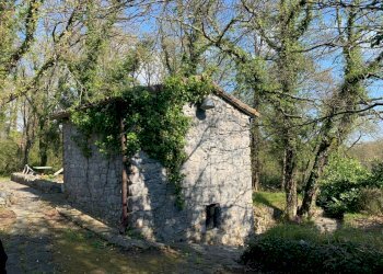 PHOTO-2021-04-18-07-48-21.jpg - Rustico Lerici - foto 10