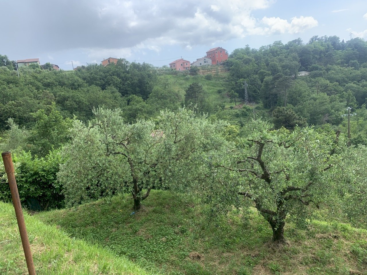 IMG-5960.jpg - Terreno agricolo Santo Stefano di Magra - foto 2
