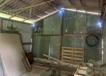 IMG-5955.jpg - Terreno agricolo Santo Stefano di Magra - foto 4