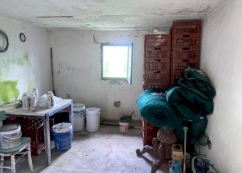 IMG-5956.jpg - Terreno agricolo Santo Stefano di Magra - foto 5