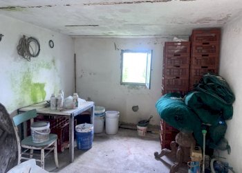 IMG-5957.jpg - Terreno agricolo Santo Stefano di Magra - foto 6