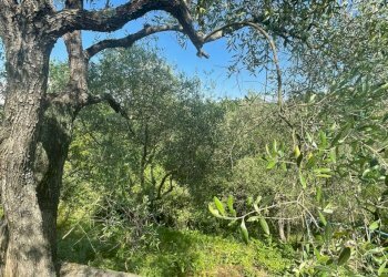 Villa Vezzano Ligure - foto 11