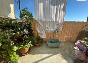 35efe740-f0e8-495c-b645-b4f966e401a0.jpg - Appartamento Carrara - foto 21