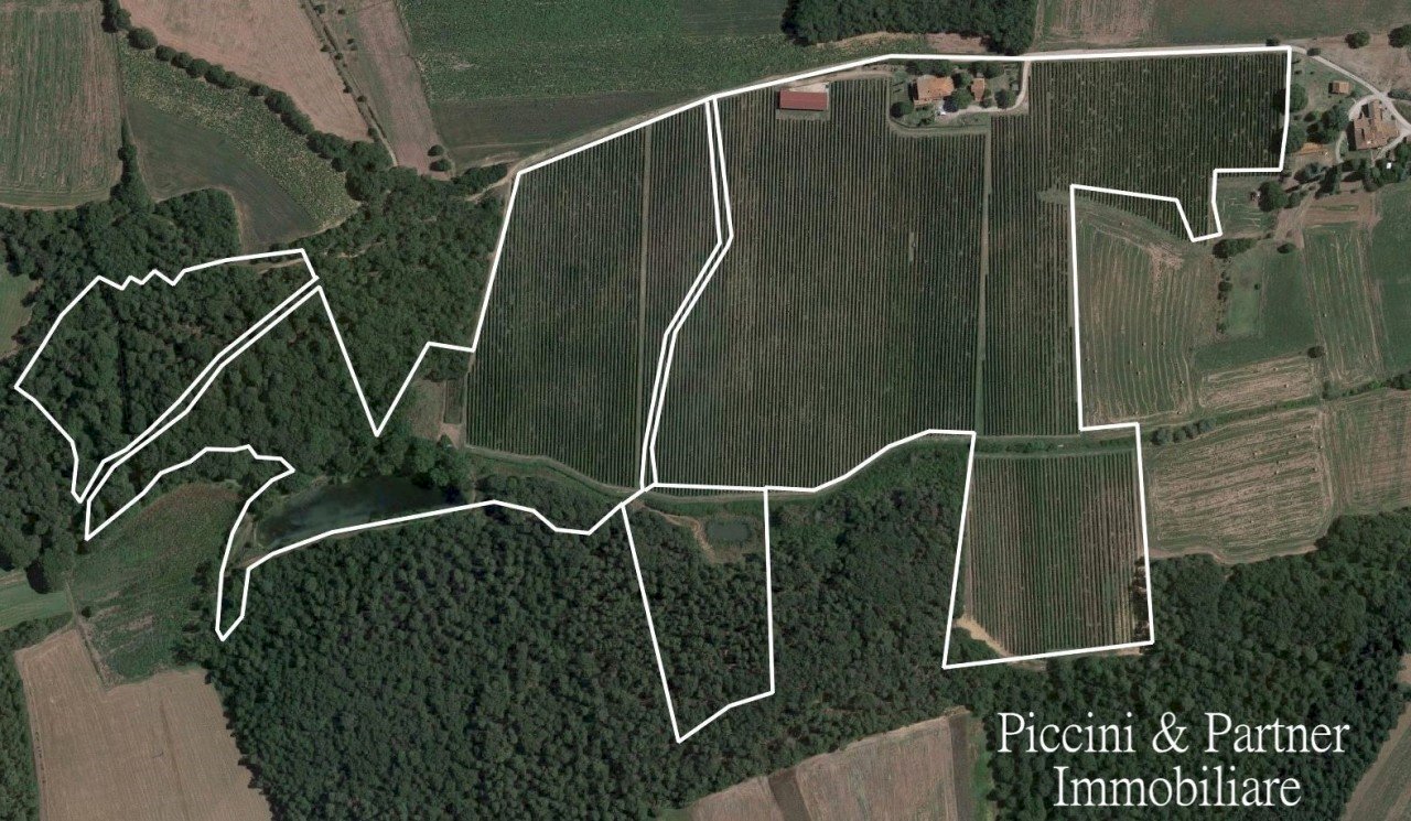 02.jpg - Farm Via Soccorso, Castiglione del Lago - photo 2