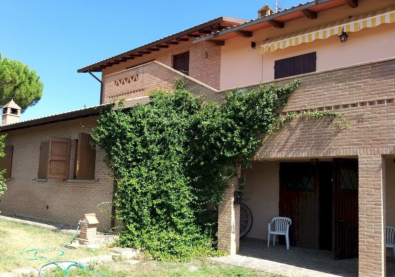 03.jpg - Farm Via Soccorso, Castiglione del Lago - photo 3