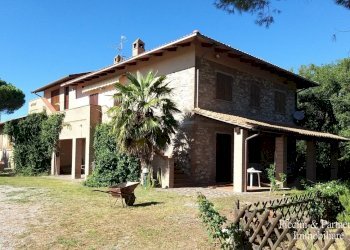 01.jpg - Azienda agricola Via Soccorso, Castiglione del Lago - foto 1