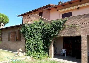 03.jpg - Azienda agricola Via Soccorso, Castiglione del Lago - foto 3