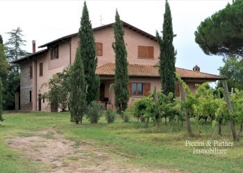 04.jpg - Azienda agricola Via Soccorso, Castiglione del Lago - foto 4