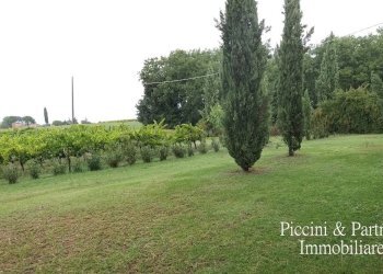 09.jpg - Azienda agricola Via Soccorso, Castiglione del Lago - foto 9