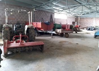 14.jpg - Azienda agricola Via Soccorso, Castiglione del Lago - foto 14
