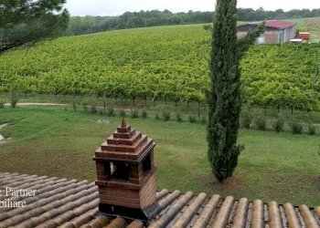 18.jpg - Azienda agricola Via Soccorso, Castiglione del Lago - foto 18