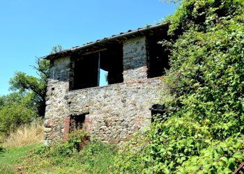 DSC_0075.JPG - Rustico Traversa V Via della Pieve Santo Stefano, Lucca - foto 1