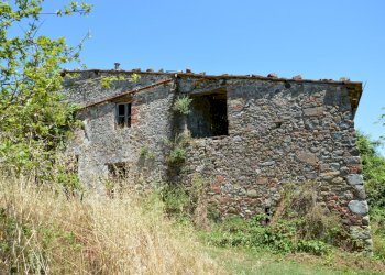 DSC_0076.JPG - Rustico Traversa V Via della Pieve Santo Stefano, Lucca - foto 4