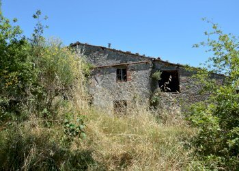 DSC_0077.JPG - Rustico Traversa V Via della Pieve Santo Stefano, Lucca - foto 5