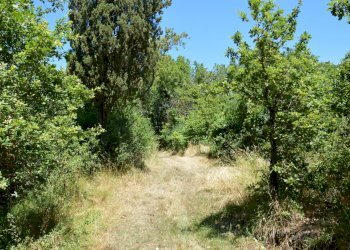DSC_0078.JPG - Rustico Traversa V Via della Pieve Santo Stefano, Lucca - foto 6