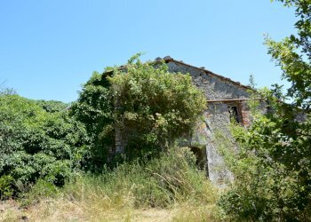 DSC_0079.JPG - Rustico Traversa V Via della Pieve Santo Stefano, Lucca - foto 7