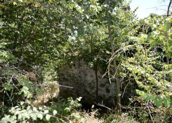 DSC_0081.JPG - Rustico Traversa V Via della Pieve Santo Stefano, Lucca - foto 9