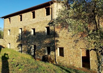 20210625_200645.jpg - Rustic Via di Matraia, Capannori - photo 8