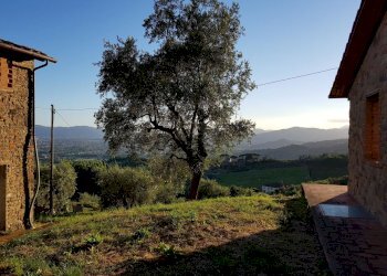 20210625_200703.jpg - Rustic Via di Matraia, Capannori - photo 9