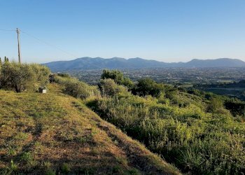 20210625_195632.jpg - Rustic Via di Matraia, Capannori - photo 14