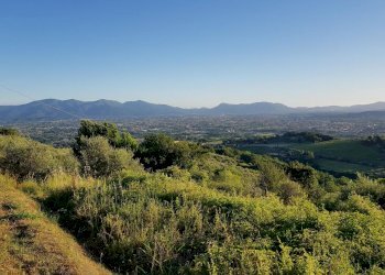 20210625_195646.jpg - Rustic Via di Matraia, Capannori - photo 16