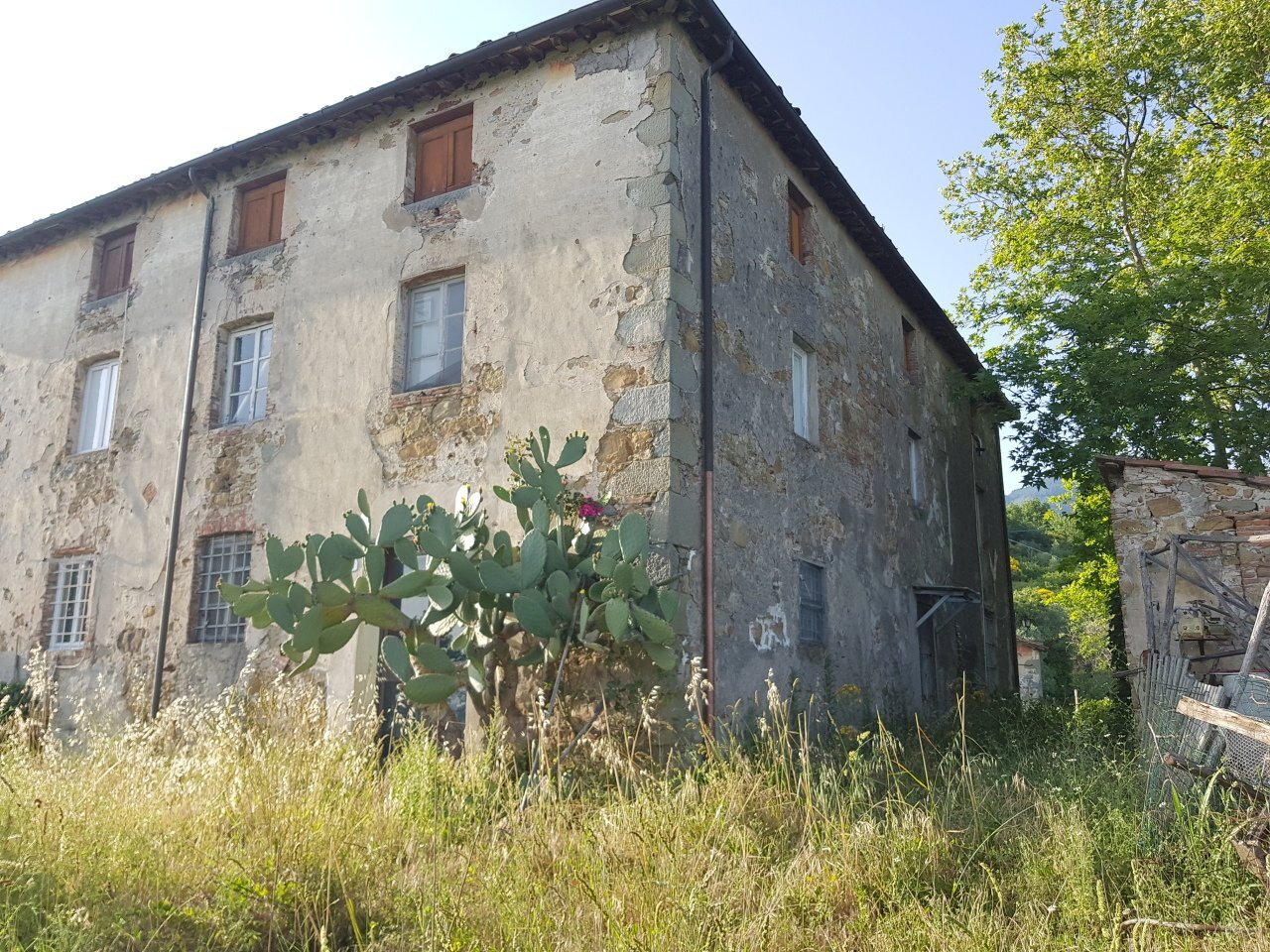 20210618_185849.jpg - Rustic Via del Parco, Capannori - photo 2