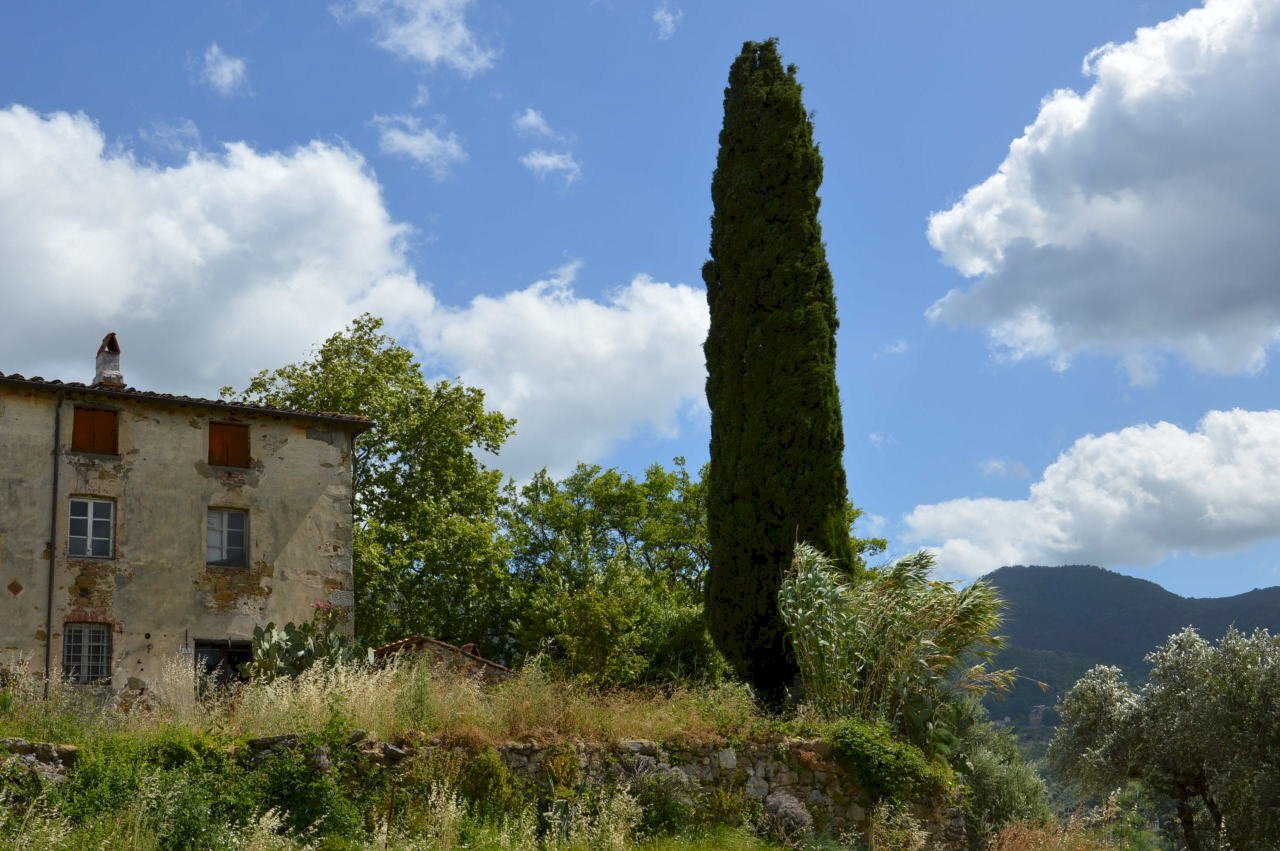 DSC_0001.JPG - Rustic Via del Parco, Capannori - photo 3