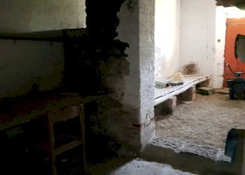 20210618_190842.jpg - Rustic Via del Parco, Capannori - photo 5