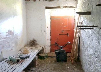 20210618_190851.jpg - Rustic Via del Parco, Capannori - photo 6