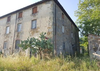 20210618_185849.jpg - Rustic Via del Parco, Capannori - photo 2