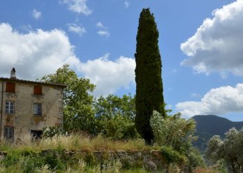 DSC_0001.JPG - Rustic Via del Parco, Capannori - photo 3