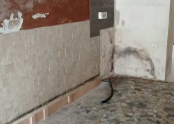 1619601168330.jpg - Locale Commerciale Via Sarzanese 937, Lucca - foto 9