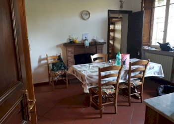 20210331_120810.jpg - Rustico Via del Chiasso Lunata 22, Capannori - foto 14