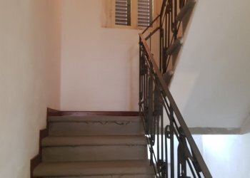 20210331_120932.jpg - Rustico Via del Chiasso Lunata 22, Capannori - foto 23