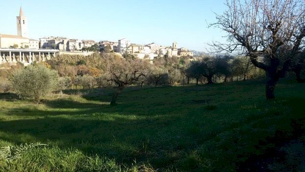 2.jpg - Building land Appignano del Tronto - photo 1