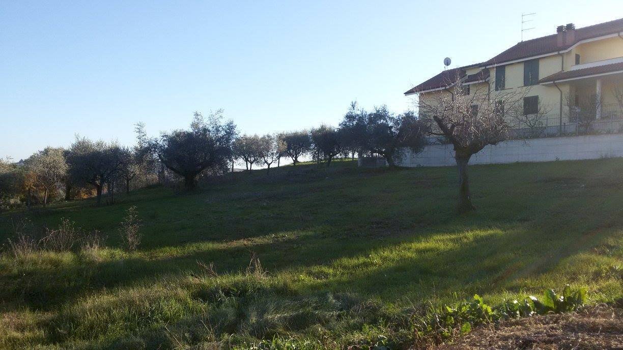 3.jpg - Building land Appignano del Tronto - photo 2