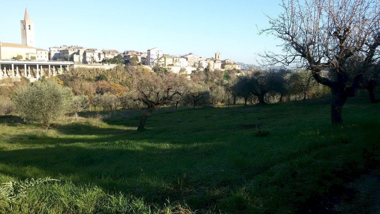 5.jpg - Building land Appignano del Tronto - photo 3