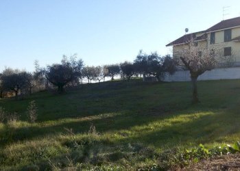 3.jpg - Terreno edificabile Appignano del Tronto - foto 2