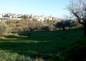 5.jpg - Terreno edificabile Appignano del Tronto - foto 3