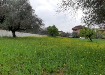 9.jpeg - Terreno edificabile Appignano del Tronto - foto 5