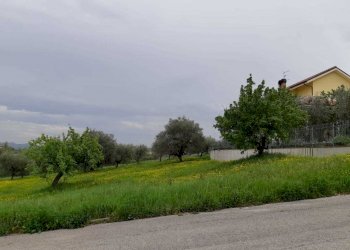 13.jpeg - Terreno edificabile Appignano del Tronto - foto 8