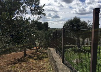 Villa strada Provinciale per Cisternino, Ostuni - foto 2