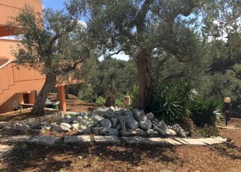 Villa strada Provinciale per Cisternino, Ostuni - foto 3