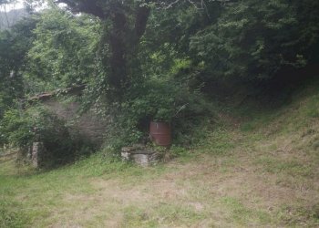 29.jpg - Rustico San Godenzo - foto 29