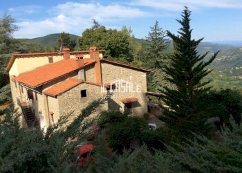 1caiano.jpg - Casale Londa - foto 1