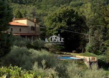 5caiano.jpg - Casale Londa - foto 5