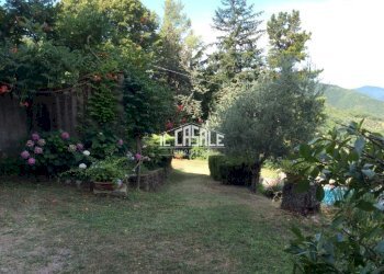 6caiano.jpg - Casale Londa - foto 6