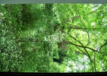 7porzioneruderecorella-min.jpg - Rustico Dicomano - foto 7