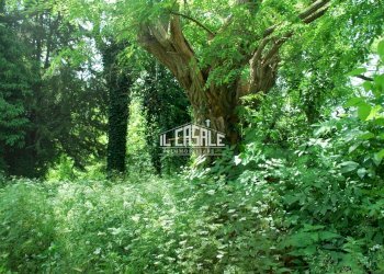 8porzioneruderecorella-min.jpg - Rustico Dicomano - foto 8